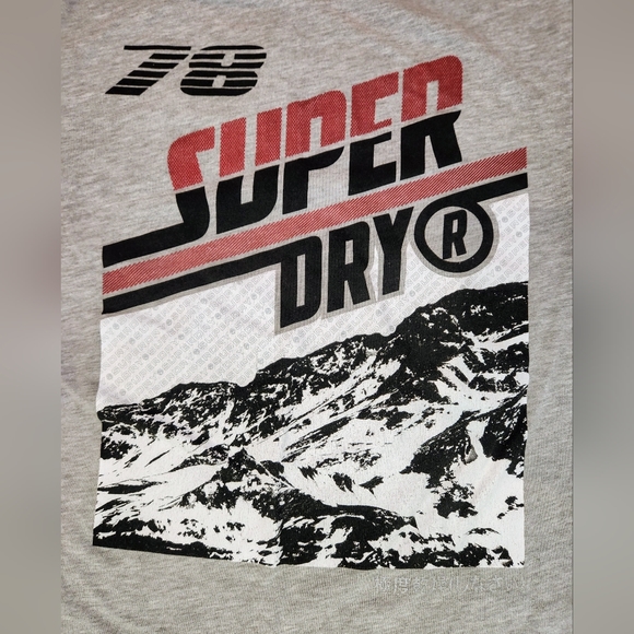 Superdry The Orange Label Tee Co Mens L Gray Crew Neck T Shirt Short Sleeve EUC - Picture 4 of 11